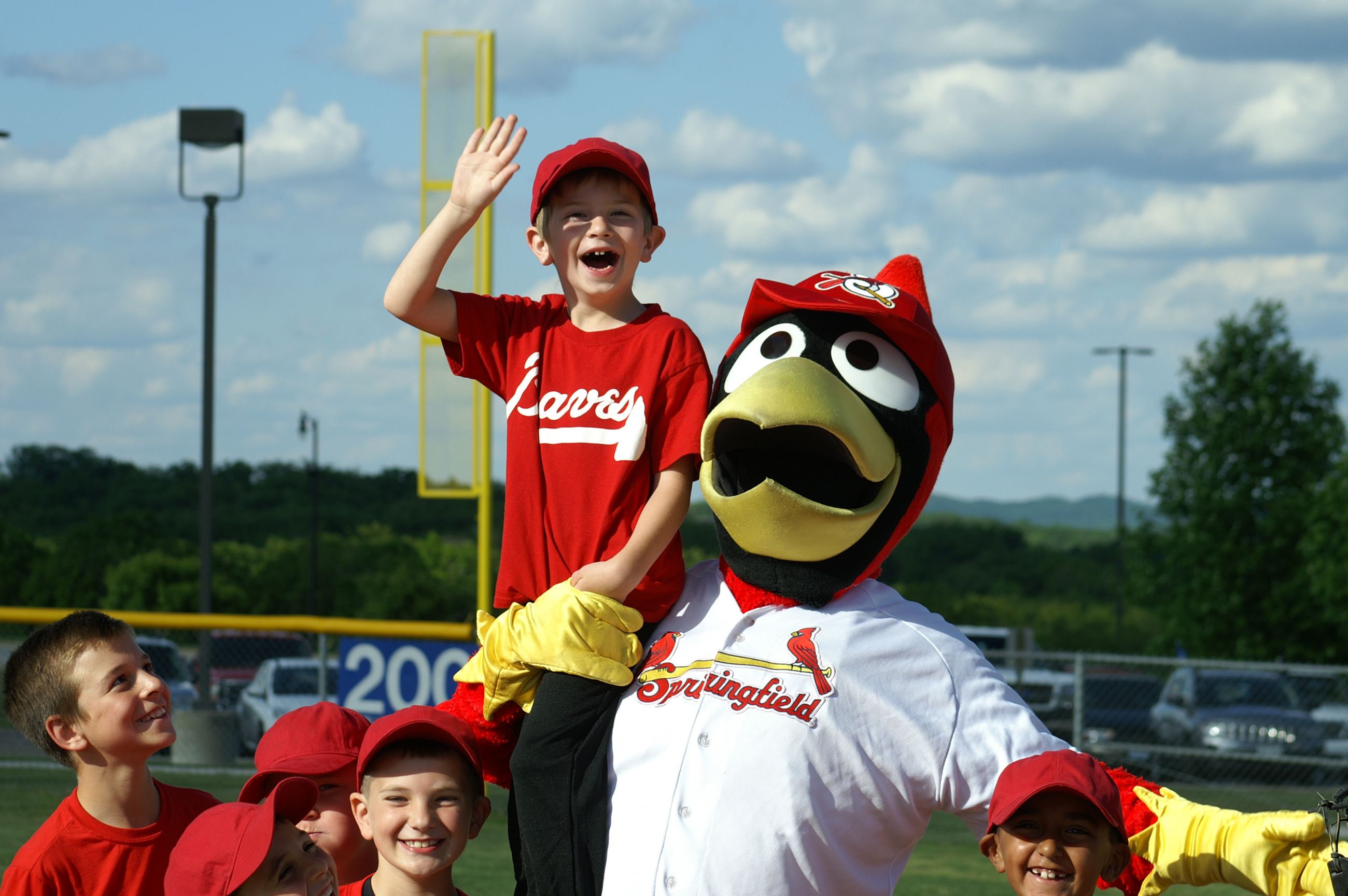Youth Baseball - Cardinal Mascot