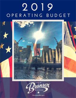 2019 Annual Operating Budget Opens in new window